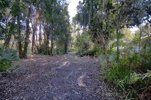 15715 Almondwood Dr, Tampa, FL 33613 - Photo 43