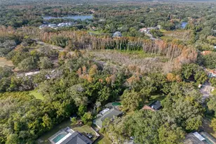 15715 Almondwood Dr, Tampa, FL 33613 - Photo 51