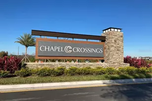 31583 Hayman Loop, Wesley Chapel, FL 33545 - Photo 11