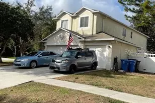 2834 Pankaw Ln, Valrico, FL 33596 - Photo 59