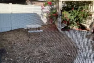 2834 Pankaw Ln, Valrico, FL 33596 - Photo 53