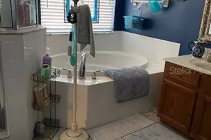 2834 Pankaw Ln, Valrico, FL 33596 - Photo 23