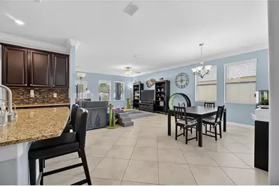 11924 Frost Aster Drive, Riverview, FL 33579 - Photo 27