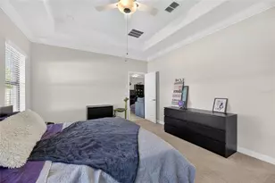 11924 Frost Aster Dr, Riverview, FL 33579 - Photo 61