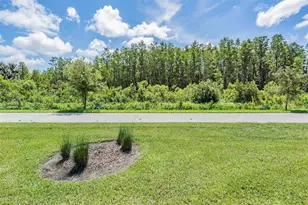 8082 Rolling Shell Trail, Wesley Chapel, FL 33545 - Photo 33