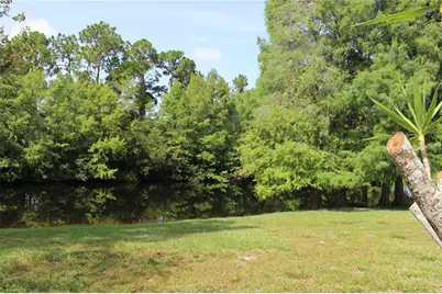 3678 Pendlebury Drive, Palm Harbor, FL 34685 - Photo 7