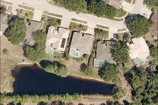 3678 Pendlebury Dr, Palm Harbor, FL 34685 - Photo 47