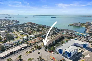 460 Paula Dr S, Dunedin, FL 34698 - Photo 9