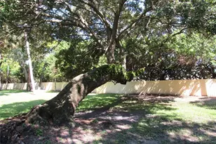 3001 58th Ave S, Saint Petersburg, FL 33712 - Photo 47