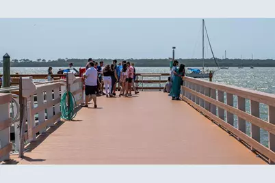 834 Cambridge Court, Dunedin, FL 34698 - Photo 53