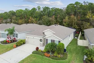 32813 Sand Creek Dr, Wesley Chapel, FL 33543 - Photo 51