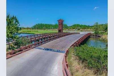 32813 Sand Creek Drive, Wesley Chapel, FL 33543 - Photo 69