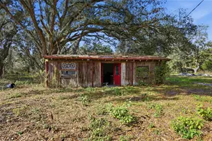 12454 Browns Berry Rd, Dover, FL 33527 - Photo 15