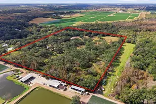 12454 Browns Berry Rd, Dover, FL 33527 - Photo 3