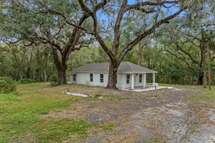 314 Hendricks Ave, Brooksville, FL 34601 - Photo 33
