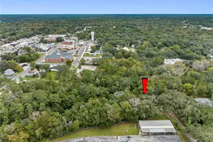 314 Hendricks Ave, Brooksville, FL 34601 - Photo 37