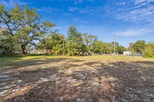 30546 Eastport Dr, Wesley Chapel, FL 33545 - Photo 11