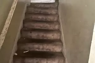 3607 N 52nd St, Tampa, FL 33619 - Photo 9