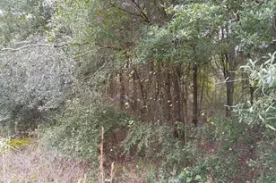 Rolling Meadow, Land O Lakes, FL 34639 - Photo 1