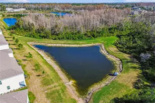 11070 Crescent Deer Dr, Land O Lakes, FL 34638 - Photo 55
