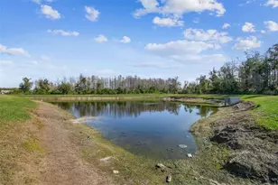 11070 Crescent Deer Dr, Land O Lakes, FL 34638 - Photo 33