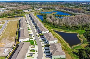 11070 Crescent Deer Dr, Land O Lakes, FL 34638 - Photo 55