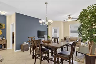 20041 Satin Leaf Ave, Tampa, FL 33647 - Photo 5