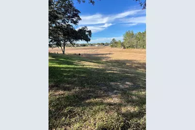 2441 Dustin Circle, Spring Hill, FL 34608 - Photo 33