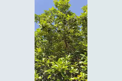 1601 Idle Drive, Clearwater, FL 33756 - Photo 43