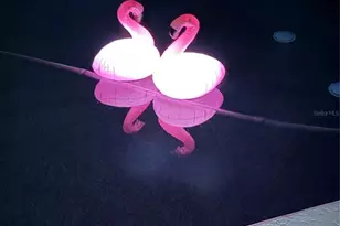 87 Oakwood Dr, Dunedin, FL 34698 - Photo 63