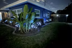 87 Oakwood Dr, Dunedin, FL 34698 - Photo 53