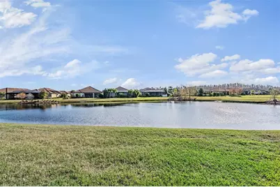 11144 Callisia Drive, Odessa, FL 33556 - Photo 31