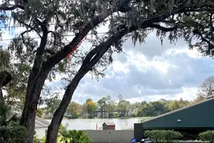 8301 N River Oaks Ct, Tampa, FL 33617 - Photo 7