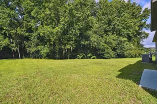 6401 Pine Top Way, Wesley Chapel, FL 33545 - Photo 39