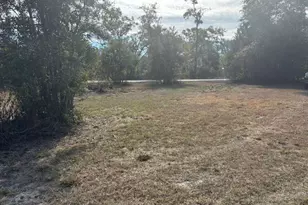 343 NE 884th Ave, Old Town, FL 32680 - Photo 17