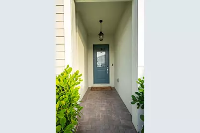21396 Snowy Orchid Terrace, Land O Lakes, FL 34637 - Photo 3