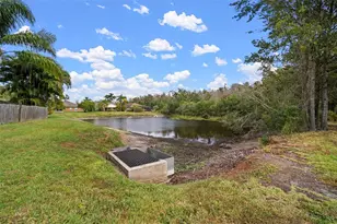 30927 Whitlock Dr, Wesley Chapel, FL 33543 - Photo 33