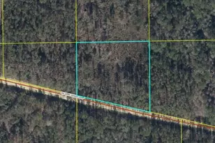 0 SW Open Sands Loop, Greenville, FL 32331 - Photo 1