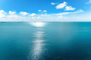 628 Mayo St, Palm Harbor, FL 34683 - Photo 75