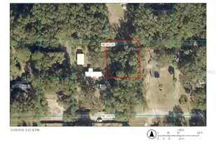 Tbd NE 163rd Ln, Citra, FL 32113 - Photo 1