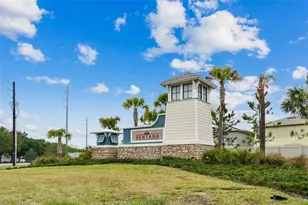 10752 Green Harvest Dr., Riverview, FL 33578 - Photo 49