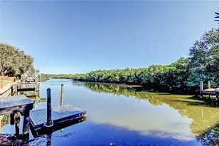 1992 Arvis Cir E, Clearwater, FL 33764 - Photo 55