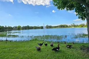 514 Brandon Ave, Clearwater, FL 33765 - Photo 59