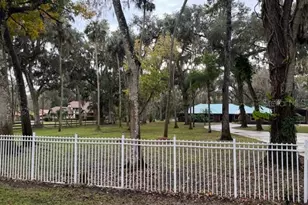 712 S Timberlane Dr, New Smyrna Beach, FL 32168 - Photo 3