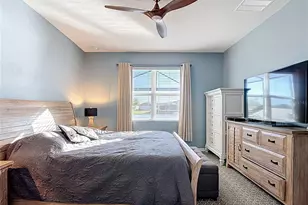 31602 Tansy Bnd, Wesley Chapel, FL 33545 - Photo 33