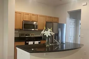 7433 Arlington Grove Cir, Tampa, FL 33625 - Photo 5