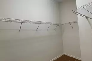 7433 Arlington Grove Cir, Tampa, FL 33625 - Photo 19