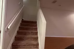 7433 Arlington Grove Cir, Tampa, FL 33625 - Photo 13