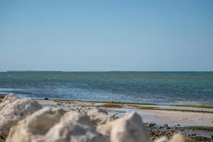 621 Duchess Blvd, Dunedin, FL 34698 - Photo 51