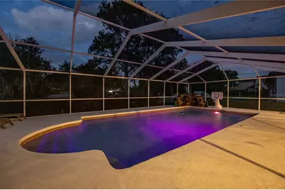 22481 Southshore Drive, Land O Lakes, FL 34639 - Photo 47